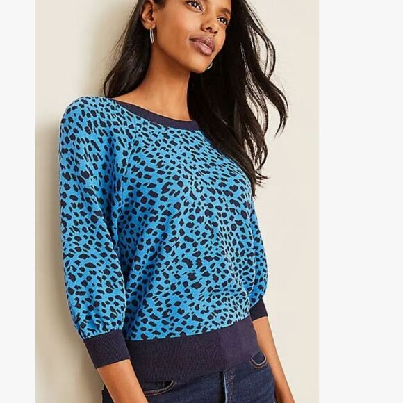 Ann Taylor leopard print, raglan sleeve sweater in deep waves blue, XS - Picture 3 of 6